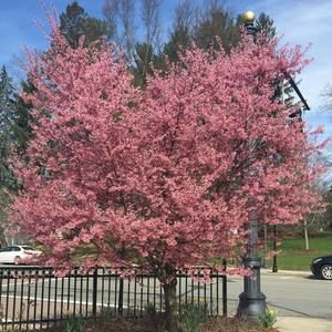 Meet your Posher, Vicky